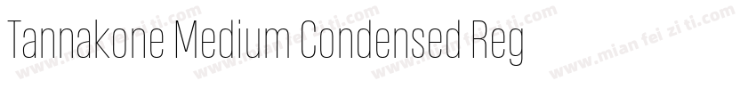 Tannakone Medium Condensed Regular字体转换